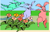 The Bunny Rabbit Series